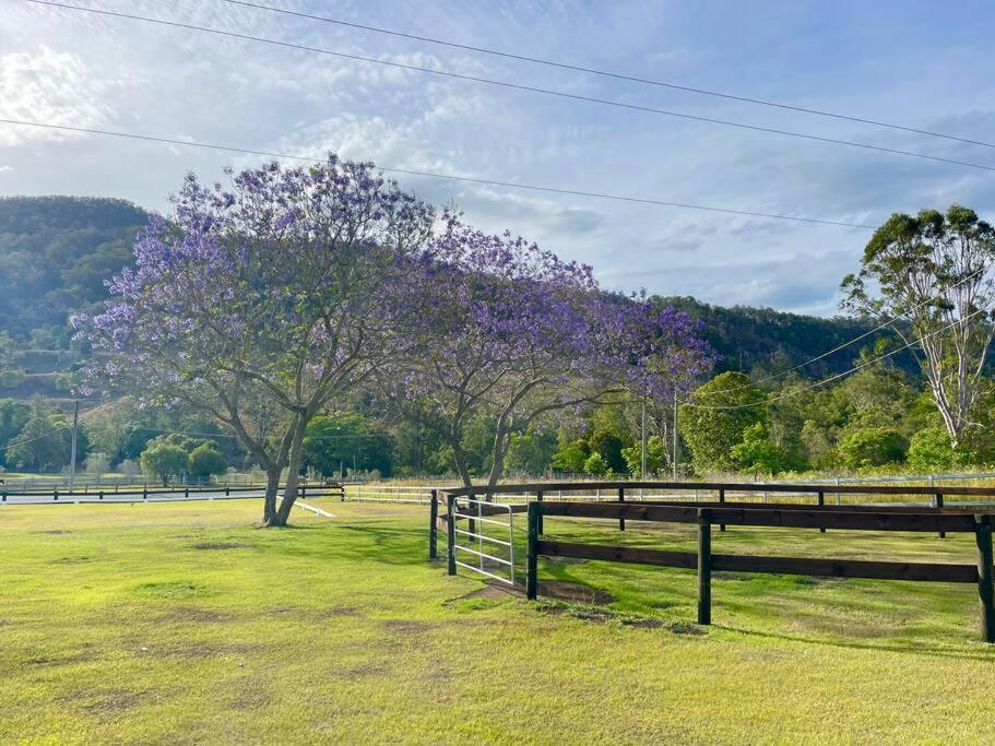 Mountview Alpaca Farmhouse Villa Canungra Exterior photo