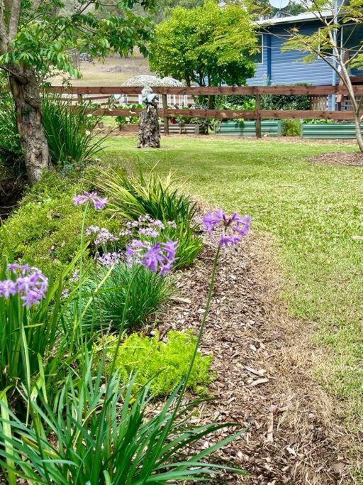 Mountview Alpaca Farmhouse Villa Canungra Exterior photo